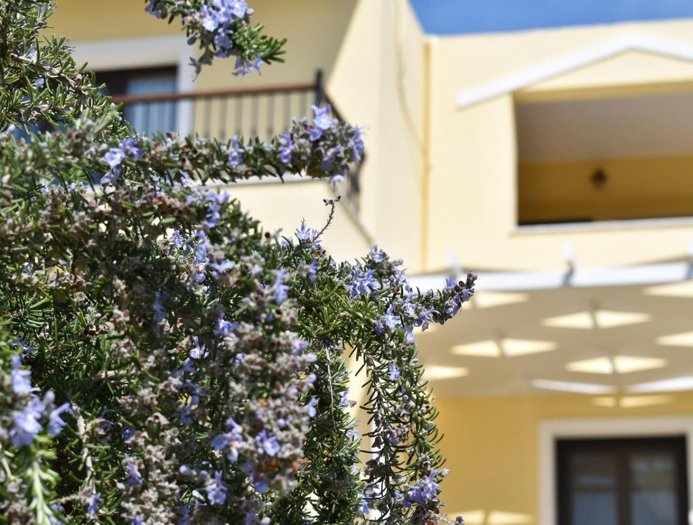 Anemi Superior Deluxe Suite Kolios Exterior foto
